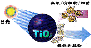 &#24320;&#20113;&#32593;&#39029;&#29256;